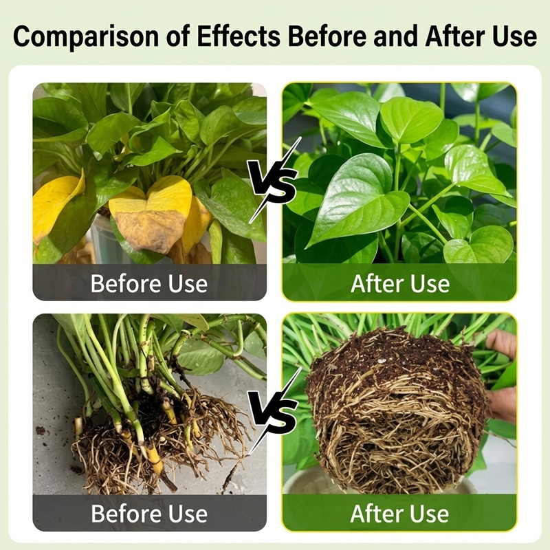 Plant Rooting Solution Rooting - огляд і ціна Rooting Hormone Powder