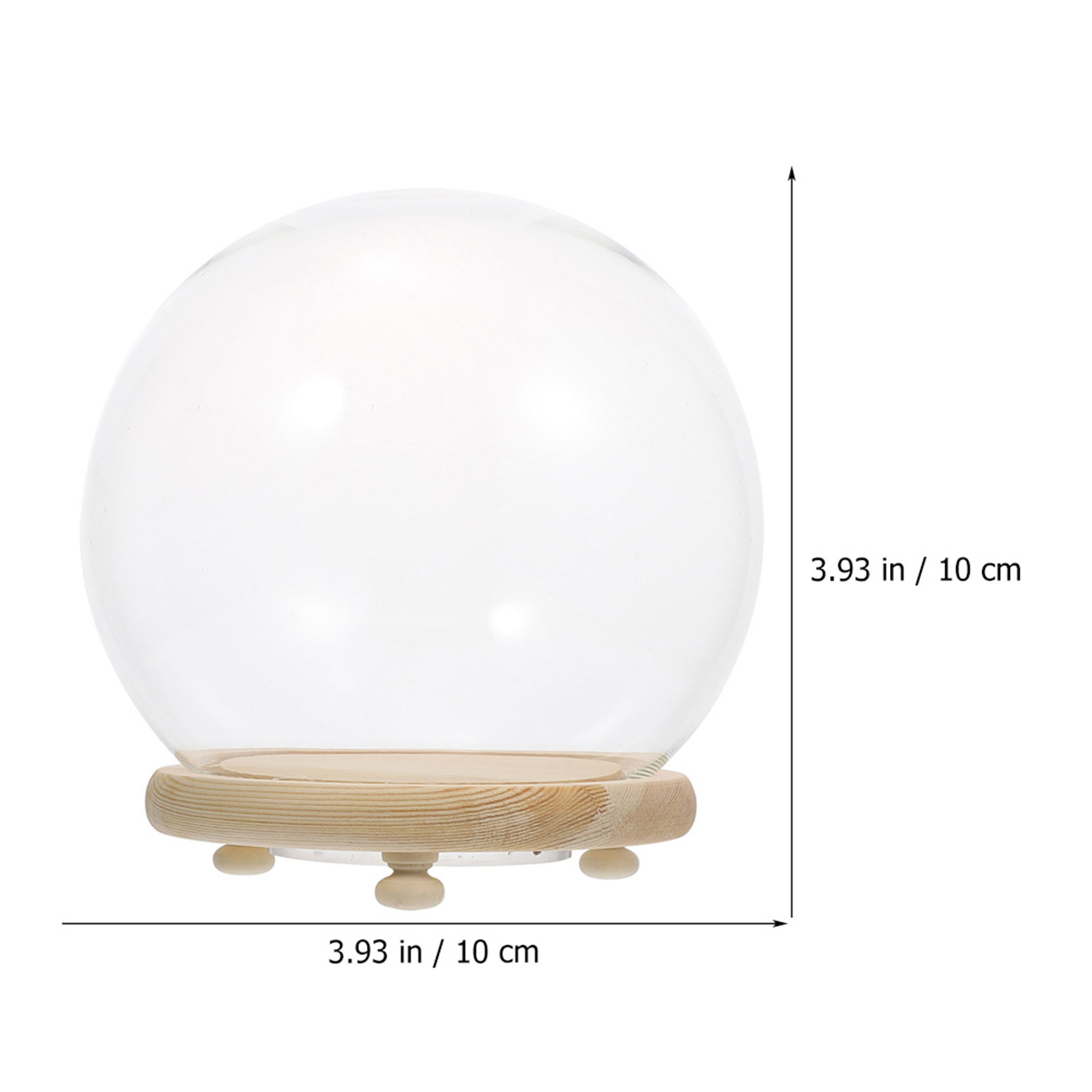 Preserved Flower Glass Dome Cl - огляд і ціна Plastic Dome Clear