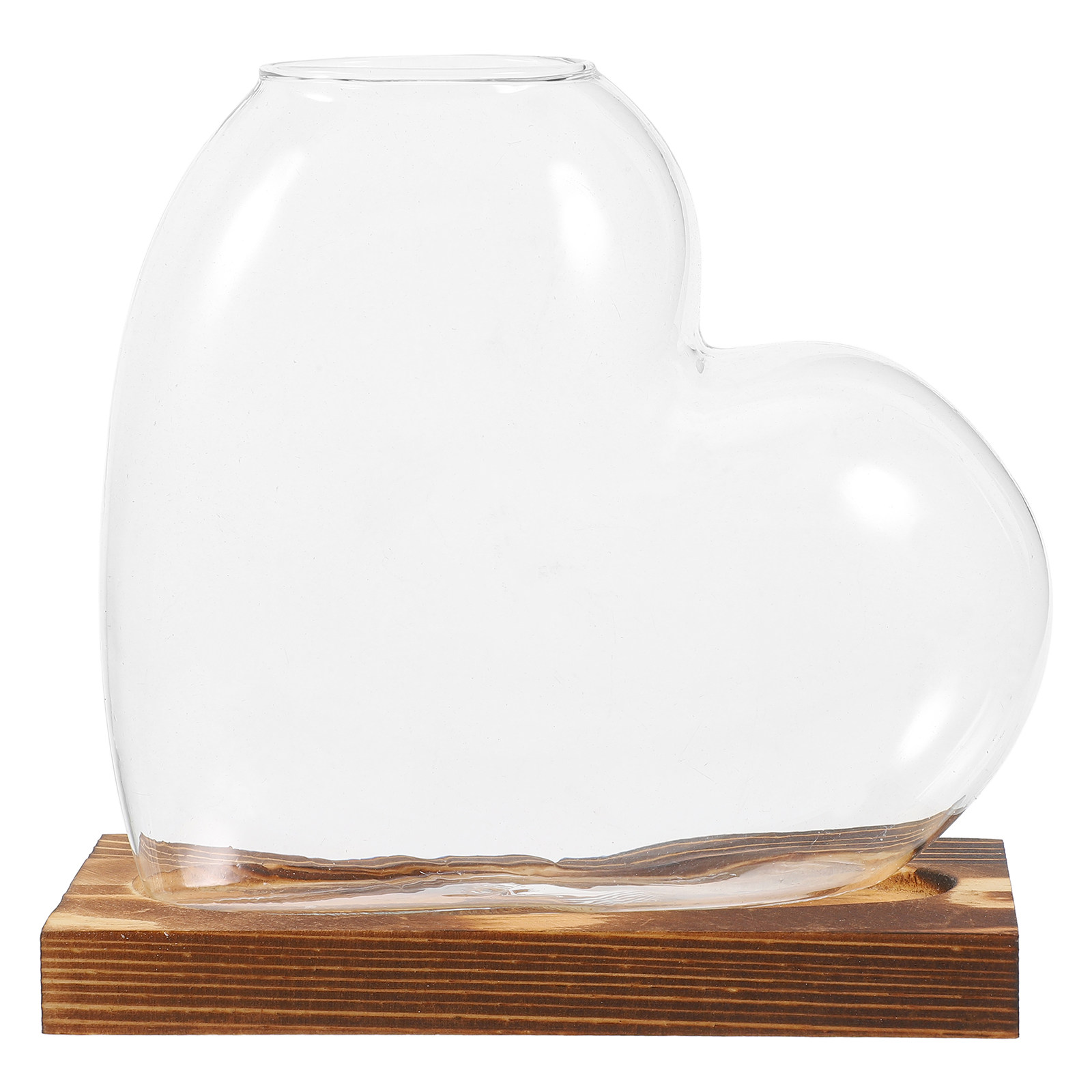 Hydroponic Glass Vase Transpar - огляд і ціна Propagation Station Vase