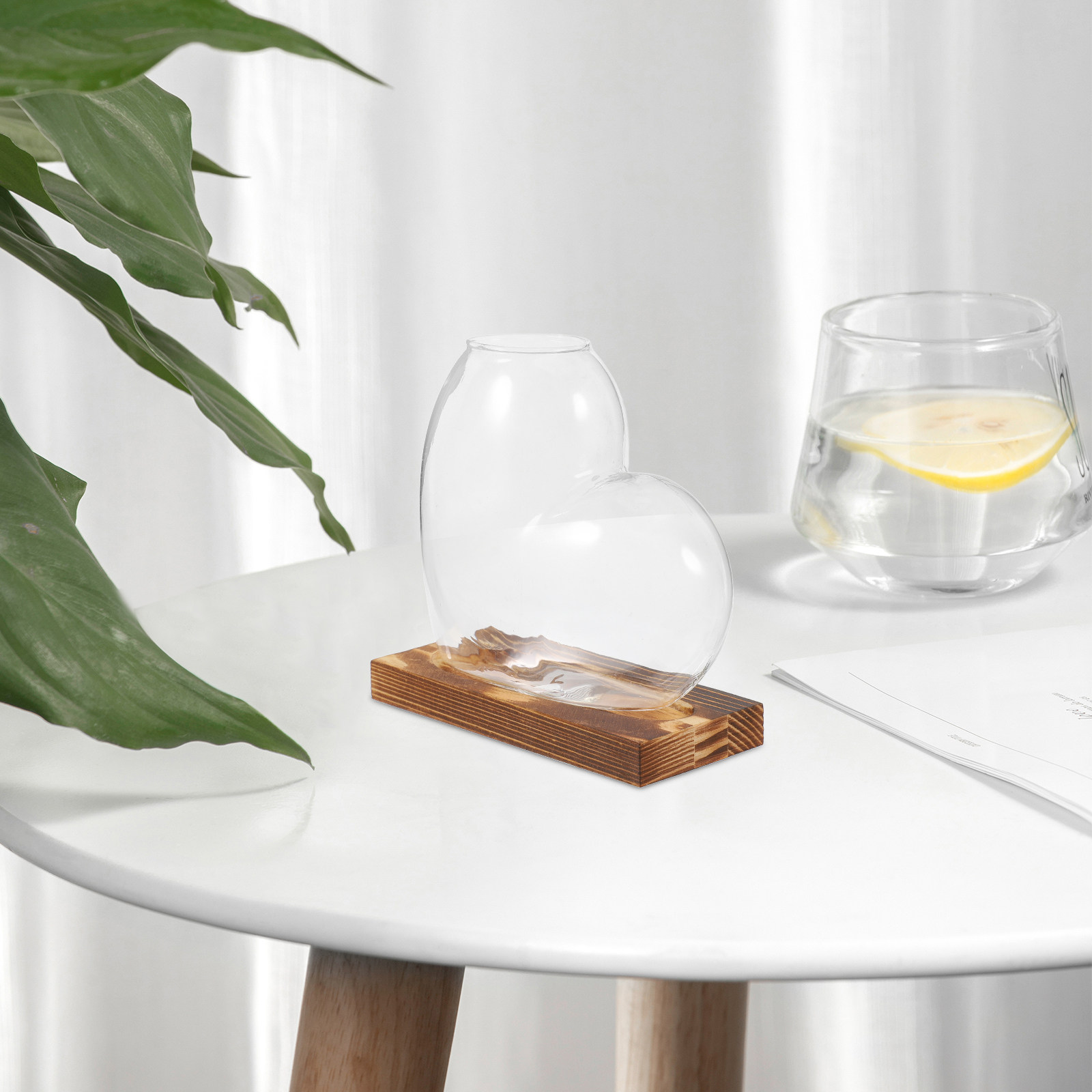 Hydroponic Glass Vase Transpar - огляд і ціна Propagation Station Vase