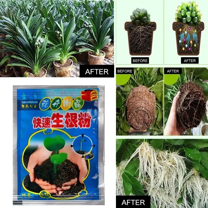5pcs Fast Rooting Powder Plant - огляд і ціна Root Stimulator Liquid